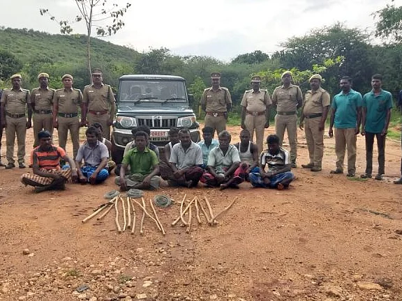 தூத்துக்குடி: தொடரும் முயல், மயில் வேட்டை... கண்காணிப்பை தீவிரப்படுத்துமா வனத்துறை?