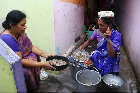 மீன், கருவாடு, சங்கு, சிப்பி, பாசி... இது கடலம்மா போடுற சோறு!