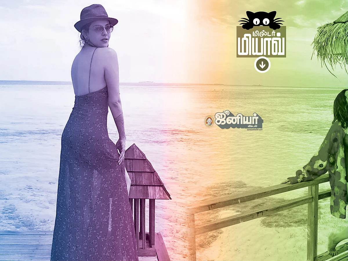 மிஸ்டர் மியாவ்