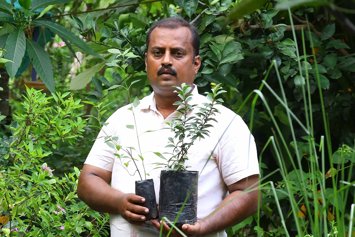 அருள் பரமசிவம்