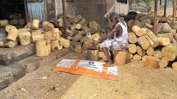 தீக்குச்சித் தடிகள்