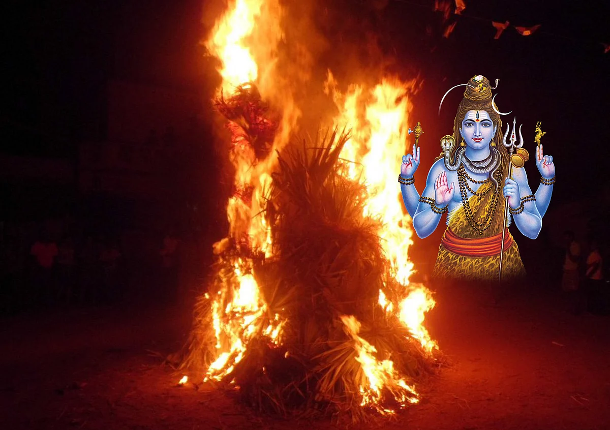 ‘சொக்கர் பனை எதற்காக?’