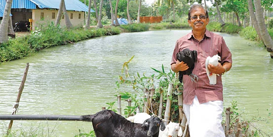 நேரலை பயிற்சி
