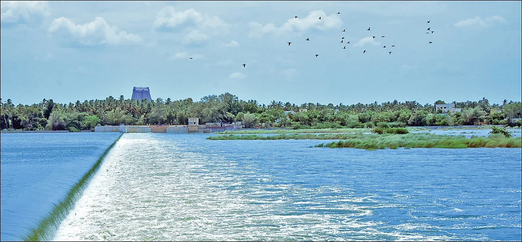 ரங்க ராஜ்ஜியம் - 68