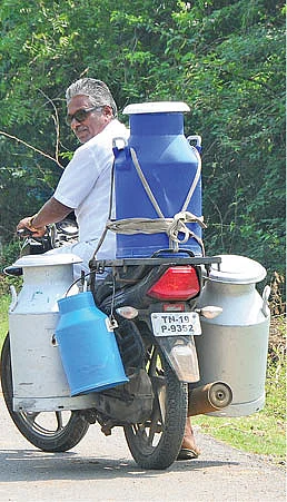 மாதம் ரூ.46,200 பால், பனீர், தயிர்... மதிப்புக்கூட்டல் கொடுக்கும் மகத்தான லாபம்!