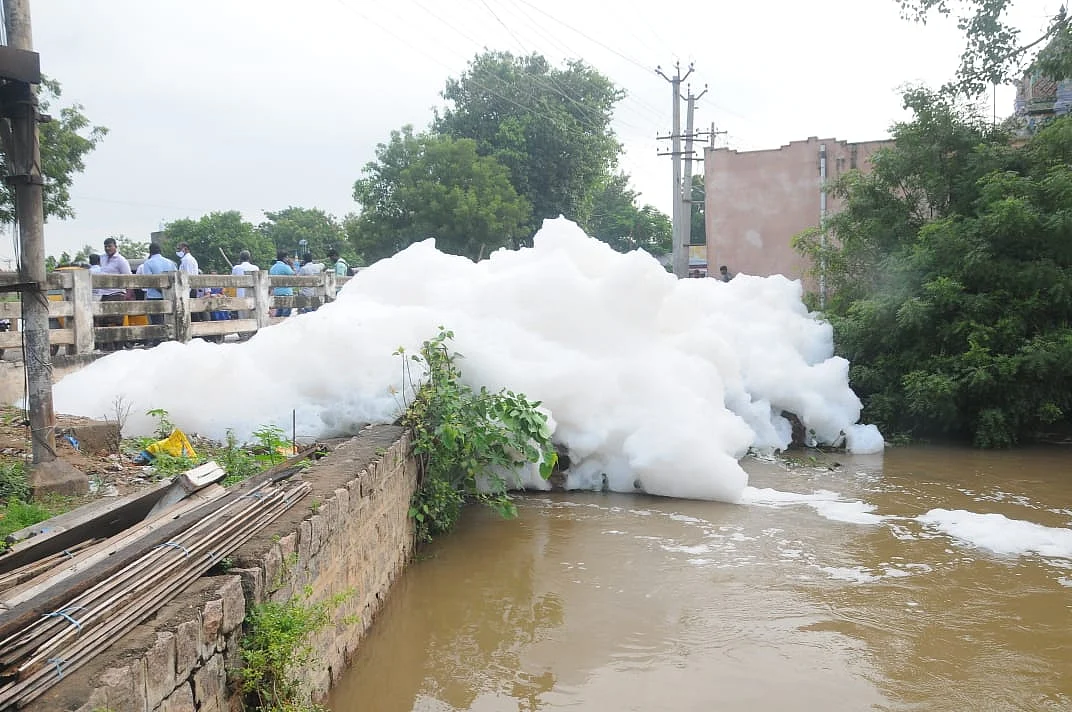 வைகை ஆறு