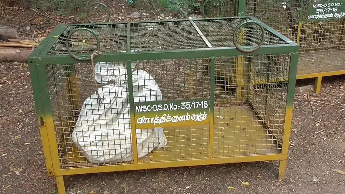 பறிமுதல் செய்யப்பட்ட மயில்கள்