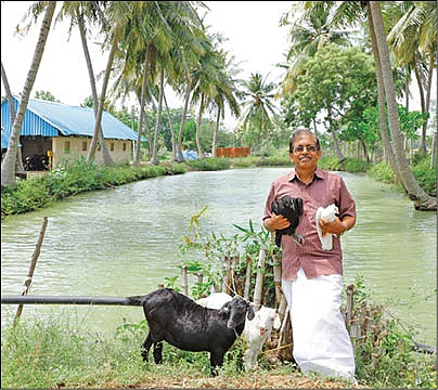 “இந்தளவுக்கு லாபம் கிடைக்குமா?” வியக்க வைத்த நேரலை பயிற்சி!