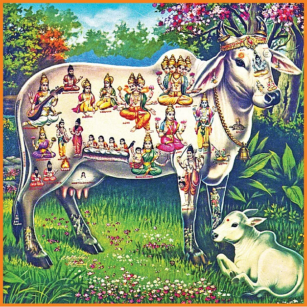 நல்லன எல்லாம் அருளும்... நந்த சப்தமி கோபூஜை