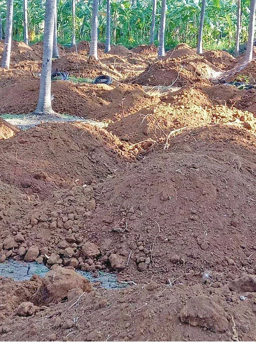 வண்டல் எடுக்க அனுமதி... உயர்ந்தது நிலத்தடி நீர்! வளமானது நிலம்!
