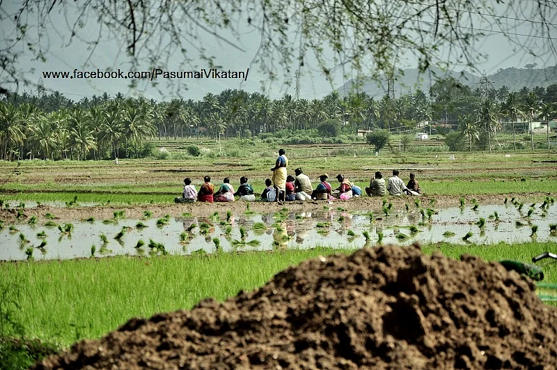 விவசாயம்