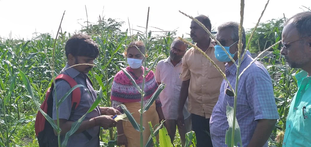 அதிகாரிகள் ஆய்வு