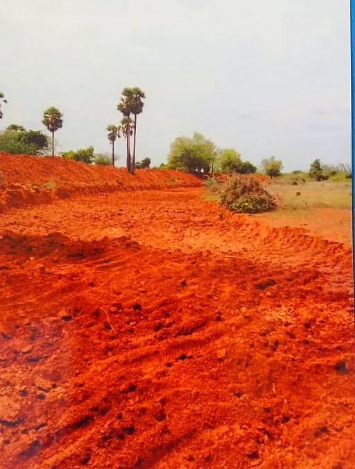 கண்மாயில் மரங்கள் வெட்டப்பட்டு தடயம் அழிக்கப்பட்டிருக்கிறது.