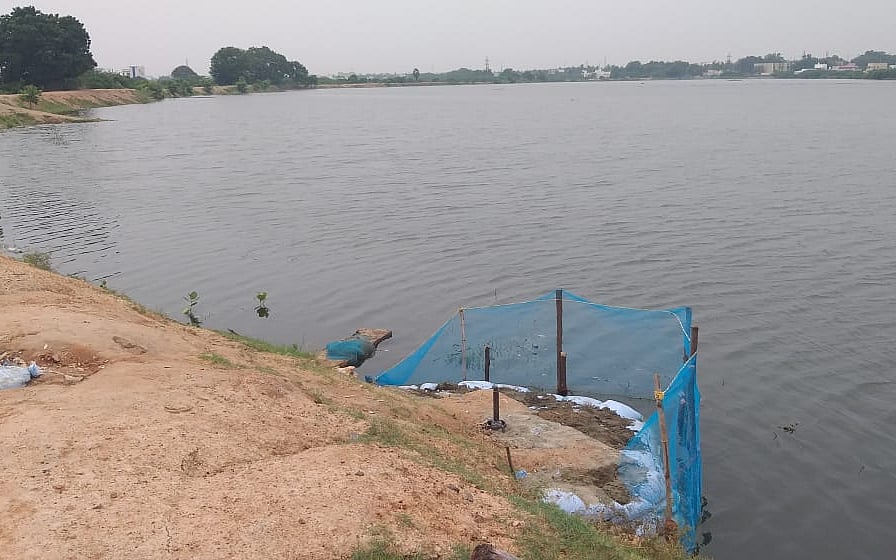 மதுரை: `ஓட்டுக்காகக் கண்மாய் நீரைத் தடுக்கும் தி.மு.க எம்.எல்.ஏ?’-கொதிக்கும் மக்கள்!