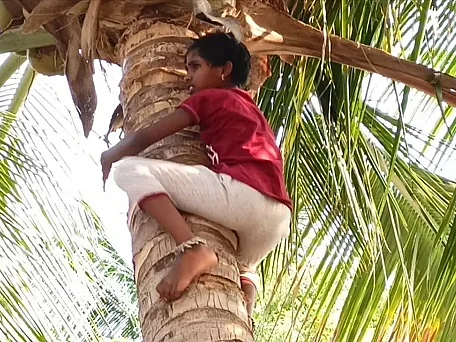 5 நிமிடங்களில் 3 மரங்கள்... தென்னை மரம் ஏறுவதில் அசத்தும் 7 வயது சிறுமி!