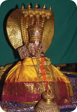 கிடாம்பி நாயனாருக்குக் கிடைத்த... ஆதிசேஷ தரிசனம்!