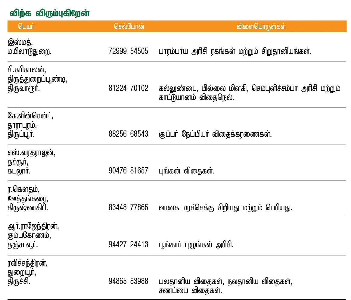 பசுமை சந்தை