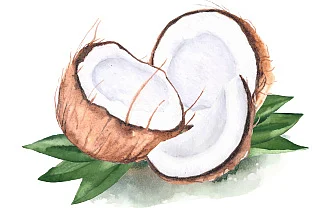 புதிய பகுதி! - 1: சமையல் சந்தேகங்களுக்கு செஃப் தாமு தரும் தீர்வுகள்