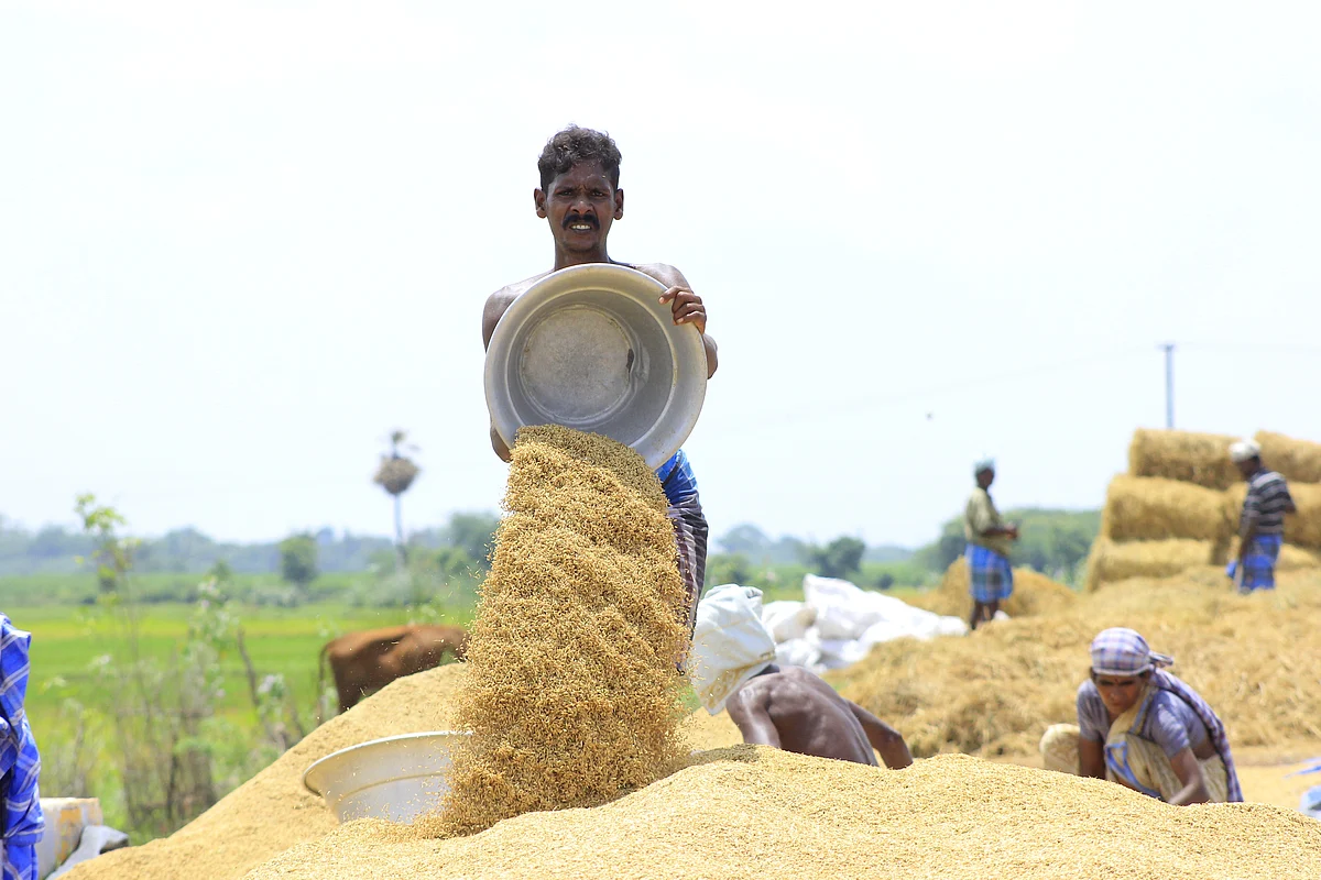 விவசாயம்