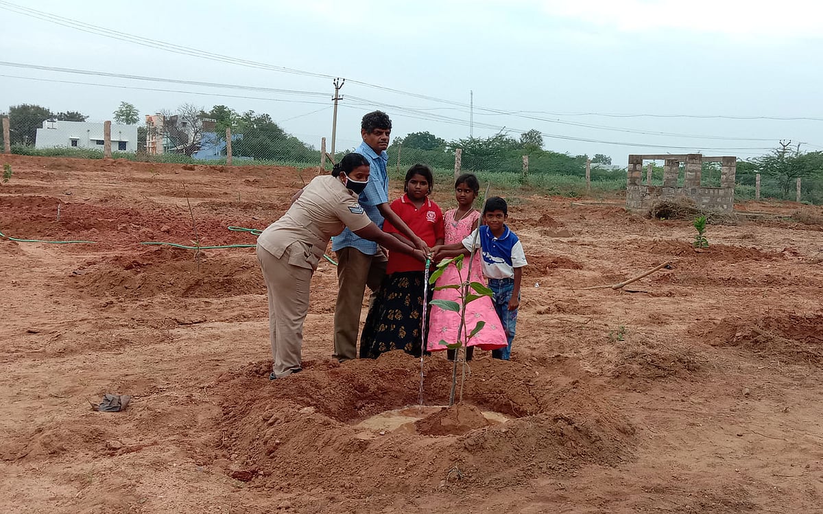 கரூர்: 3 ஏக்கர் நிலத்தில் 250 மரக்கன்றுகள்... `பசுமைக் காவலர்'களான தோகைமலைக் காவலர்கள்!