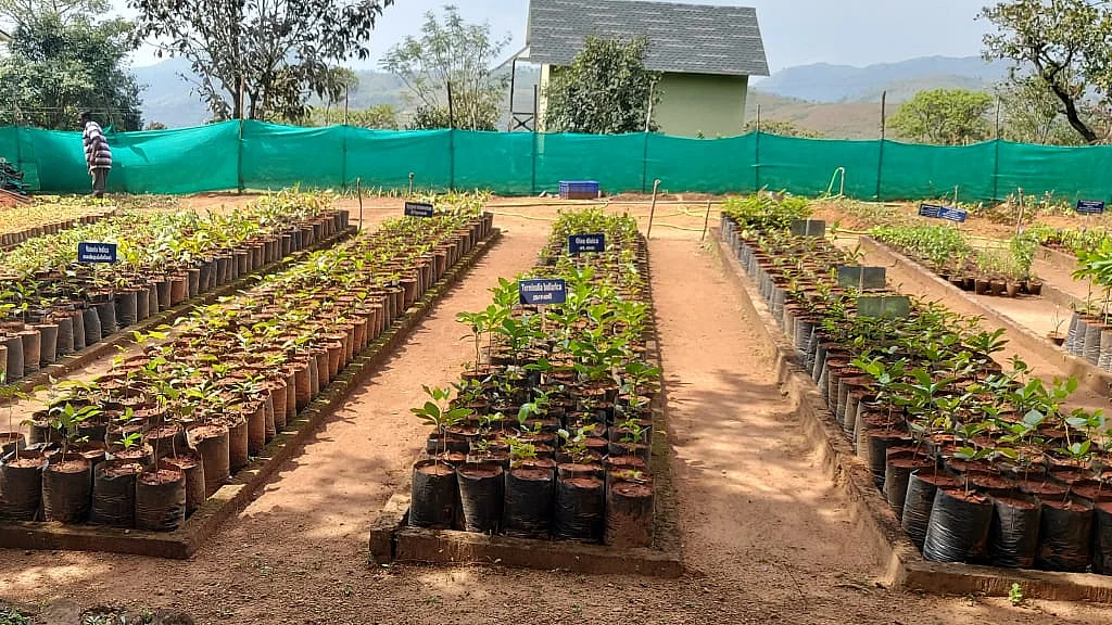 herbal garden