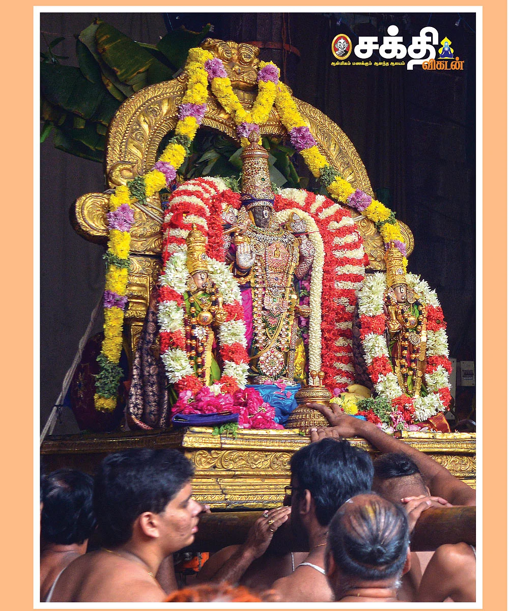 ஸ்ரீபார்த்தசாரதி பெருமாள்