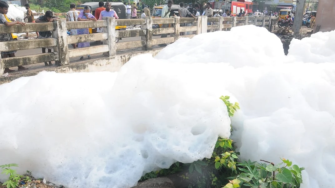 நுரை பொங்கிய வைகை