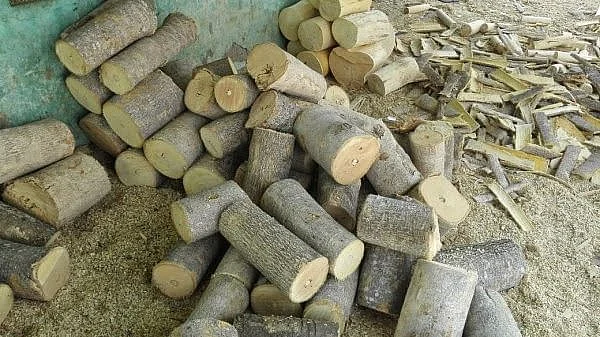 தீக்குச்சி மரத் தடிகள்