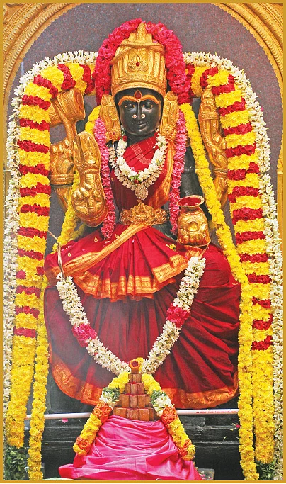 பெரியவெளிக்காடு வெக்காளி அம்மன் கோயிலில்... இனிதே நடந்தேறியது நவதுர்கா ஹோமம்!