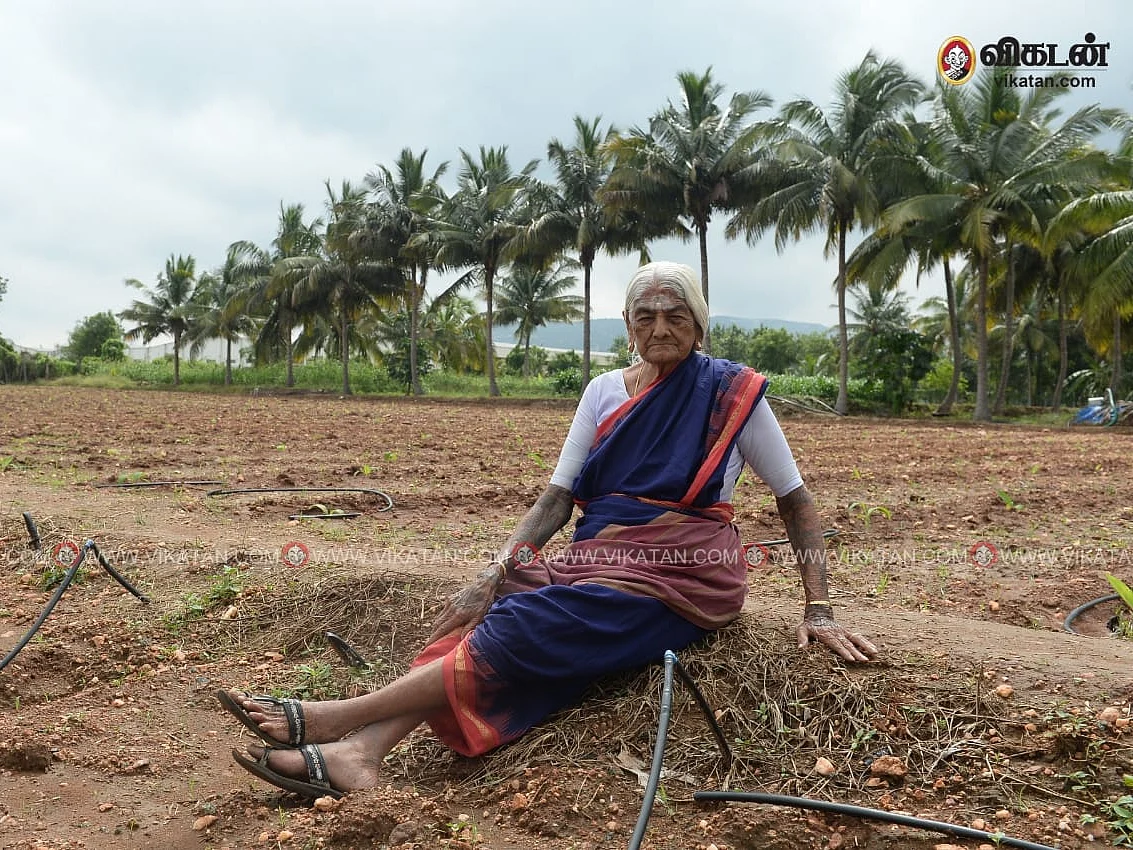 அரசியல், விவசாயம், ஆரோக்கியமான வாழ்க்கை... கோவையின் 105 வயது `இரும்பு மனுஷி' பாப்பம்மாள்!