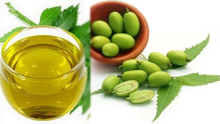 வேப்ப எண்ணெய்