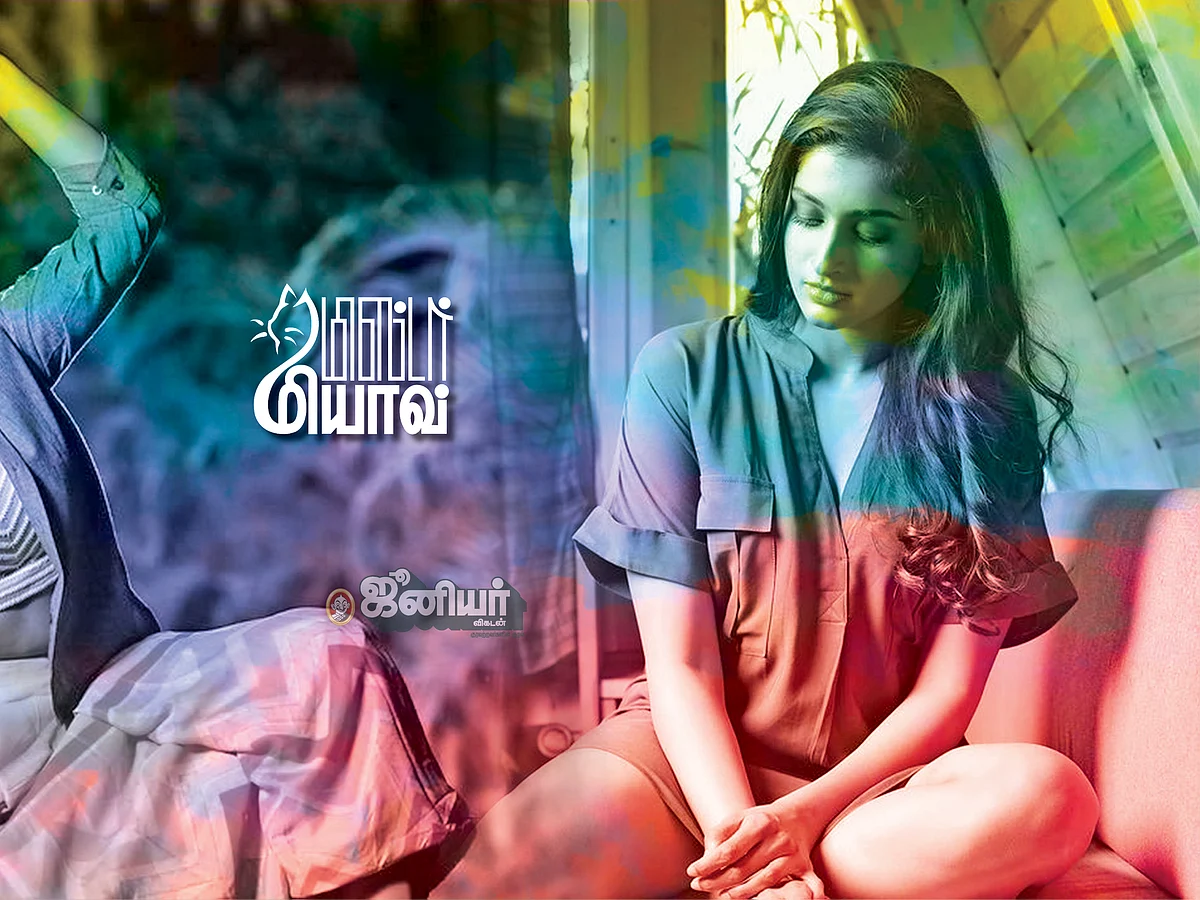 மிஸ்டர் மியாவ்