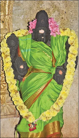 ஸ்ரீகாமுகாம்பாள்
