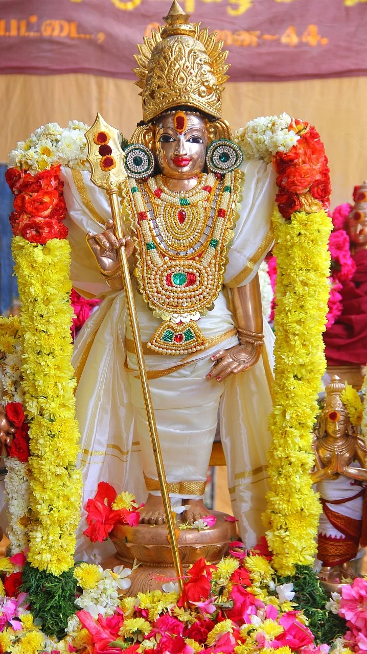 குமரன்குன்றத்திலிருந்து ஒளிபரப்பான கந்தசஷ்டி சிறப்பு வழிபாடுகளை வீடியோ வடிவில் தரிசிக்கலாம்!