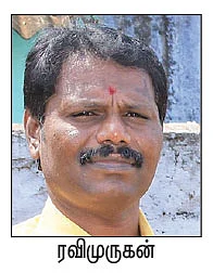 30 பெண் பன்றிகள்... ஆண்டுக்கு ரூ. 32 லட்சம்! வெகுமதி கொடுக்கும் வெண்பன்றி வளர்ப்பு!