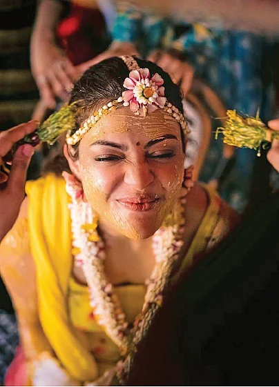 மிஸ்டர் மியாவ்