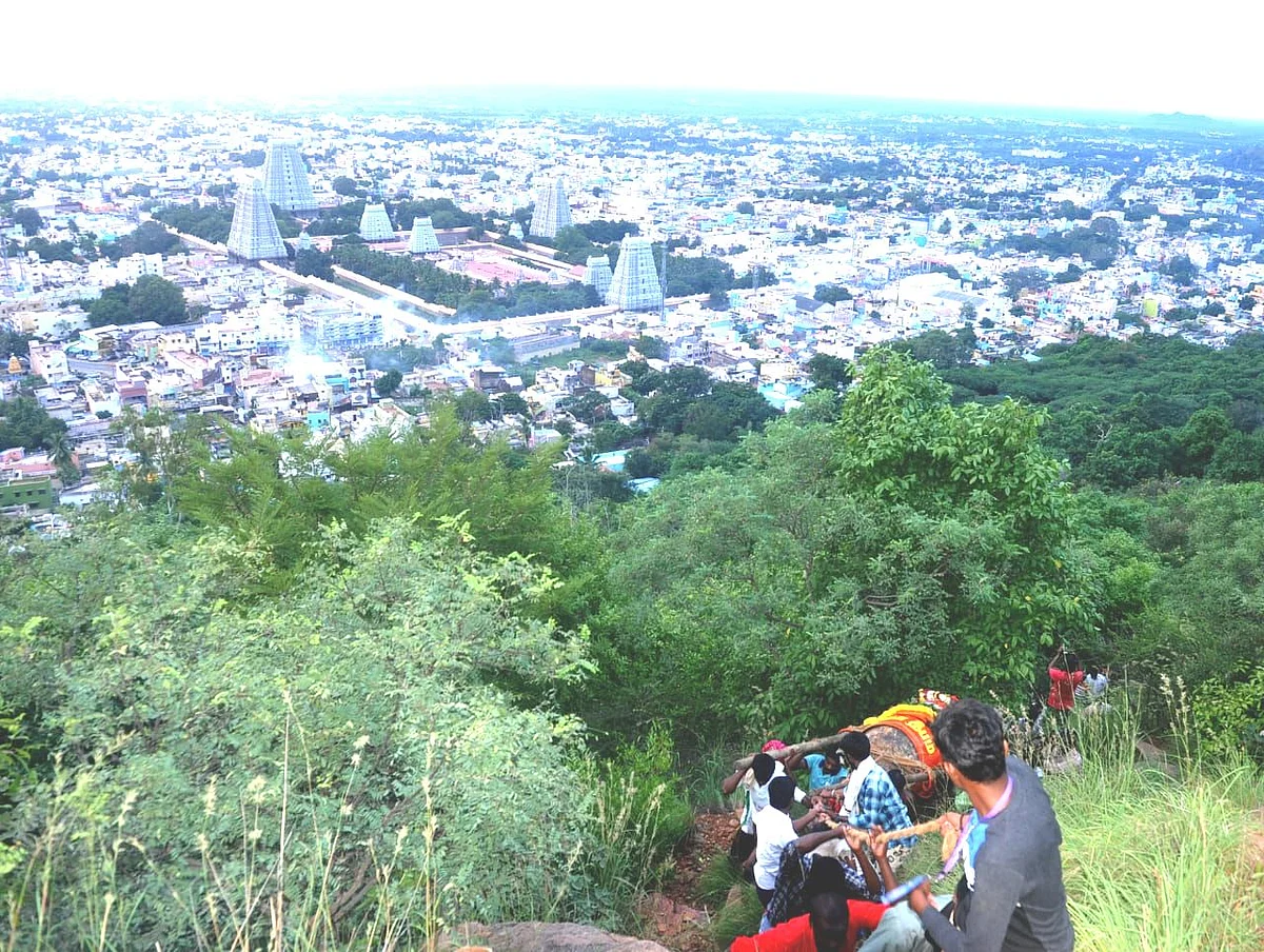 மலை உச்சிக்கு தூக்கிச்செல்லப்படும் மகா தீபக் கொப்பரை