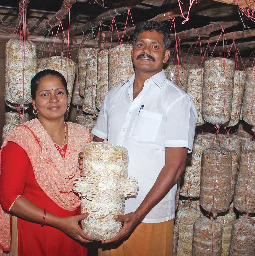 காளானுடன் சௌமியா-சதீஸ் தம்பதி