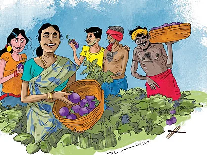வயல்வெளியே பல்கலைக்கழகம்! - இது ஒரு கழனிக் கல்வி!