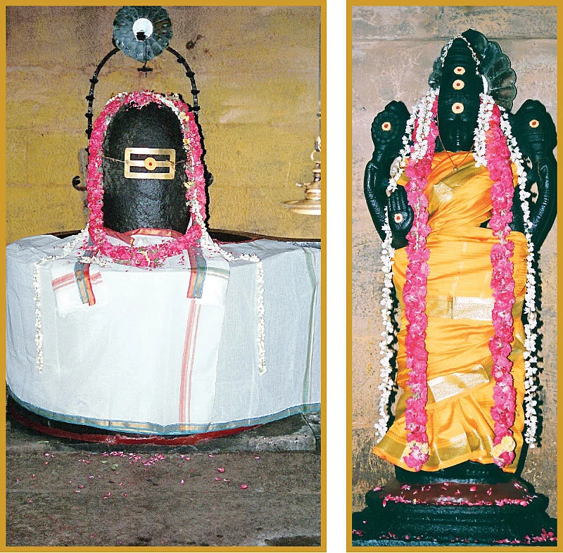 இறைவன் : ஸ்ரீபுஷ்பவனேஸ்வரர்; இறைவி : ஸ்ரீசௌந்தர்ய நாயகி