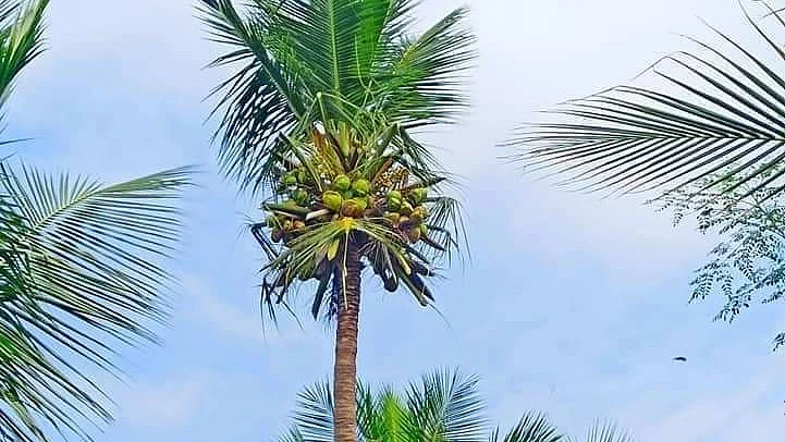 வேளாண்துறைக்கு அதிர்ச்சி கொடுத்த விவசாயிகள்