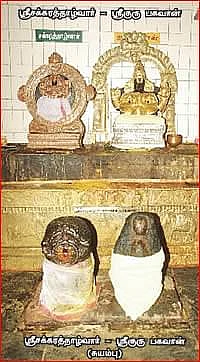 குருவித்துறை