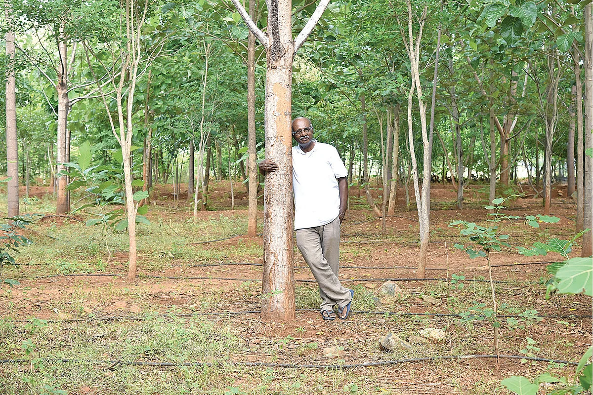 தான் வளர்த்த காட்டில் நவநீதகுமார்