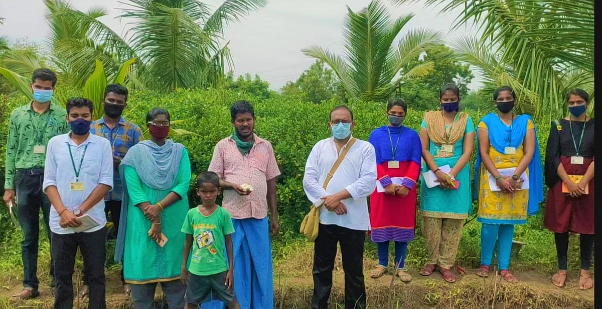 பாரிஜாத பூக்கள்