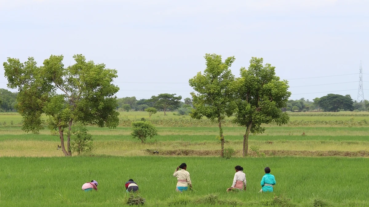 Farming