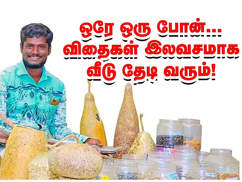 `இங்கு பாரம்பர்ய விதைகள் இலவசம்!' - பாரம்பர்யம் காக்க உதவும் இளைஞர் #Seeds
