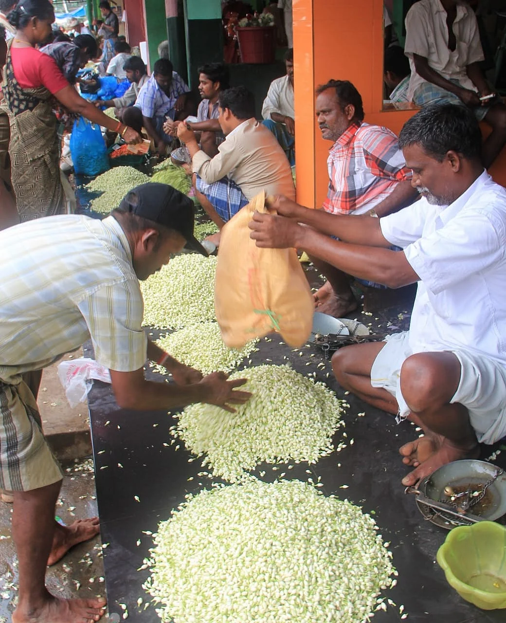 மல்லிகைப் பூ