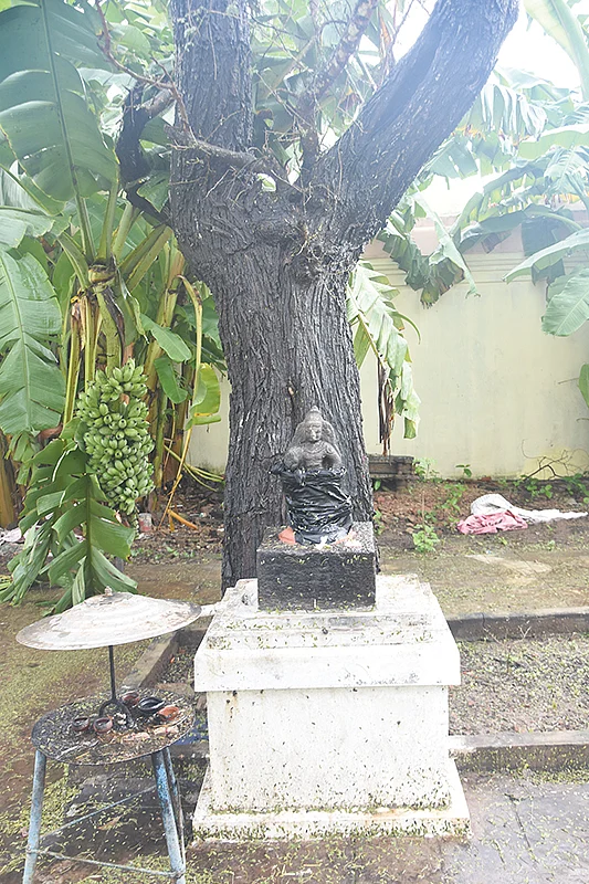 ஆலயம் தேடுவோம்: கனவில் சித்தர் காட்டிய திருக்கோயில்!