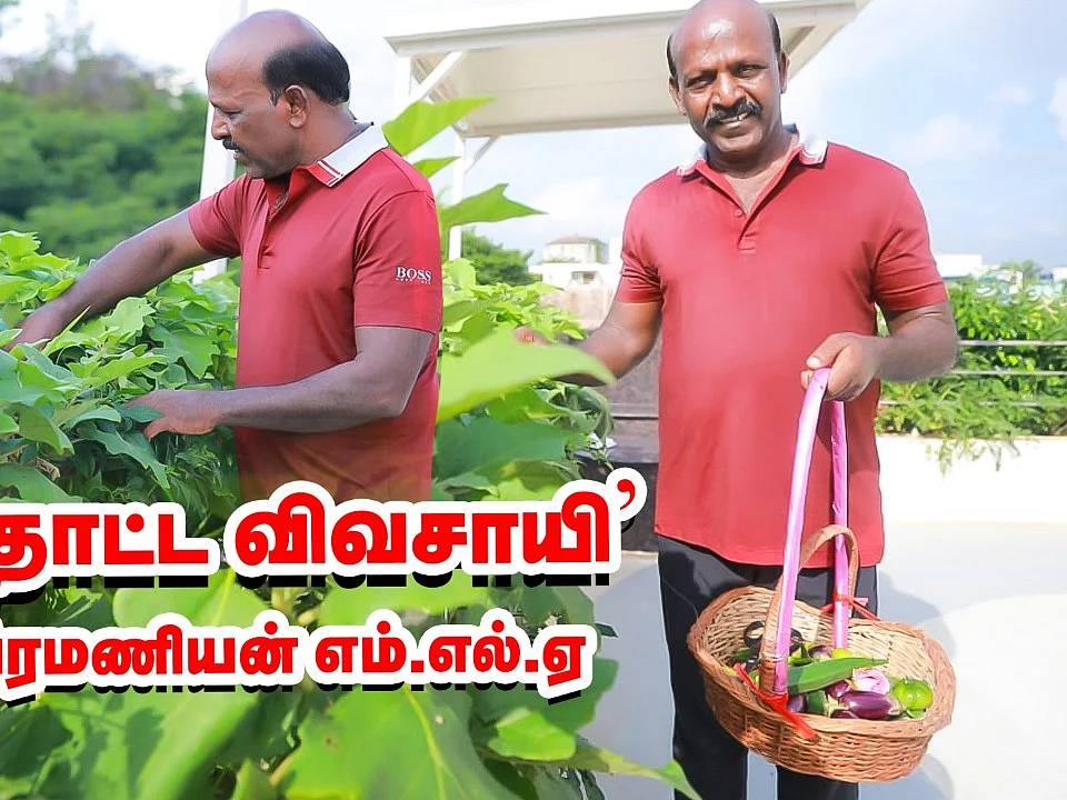 `மாடித்தோட்ட விவசாயி' மா.சுப்பிரமணியன் எம்.எல்.ஏ #Video
