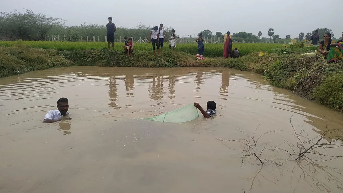 மீன் குட்டையில்